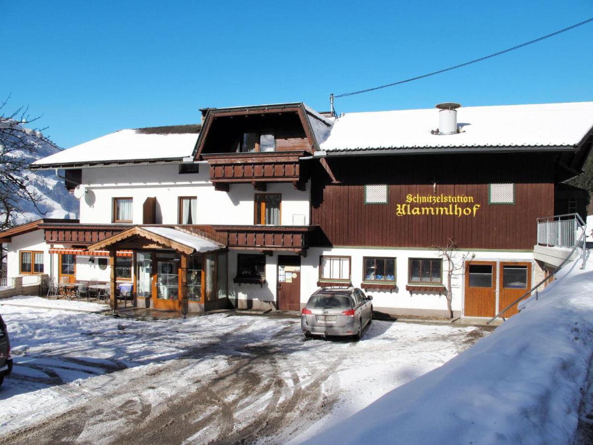 Apartment Klammlhof-4 By Interhome Zell am Ziller Extérieur photo
